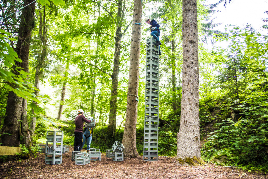 Crate Stacking 4